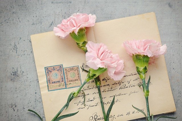 薄ピンクのカーネーション　手紙