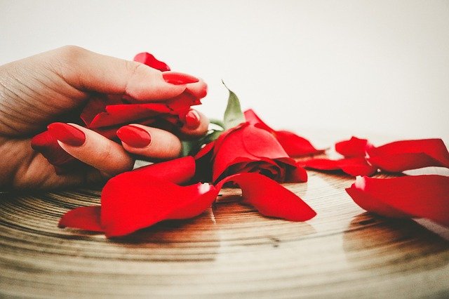 真っ赤なネイル　真っ赤なバラの花びら　長い指